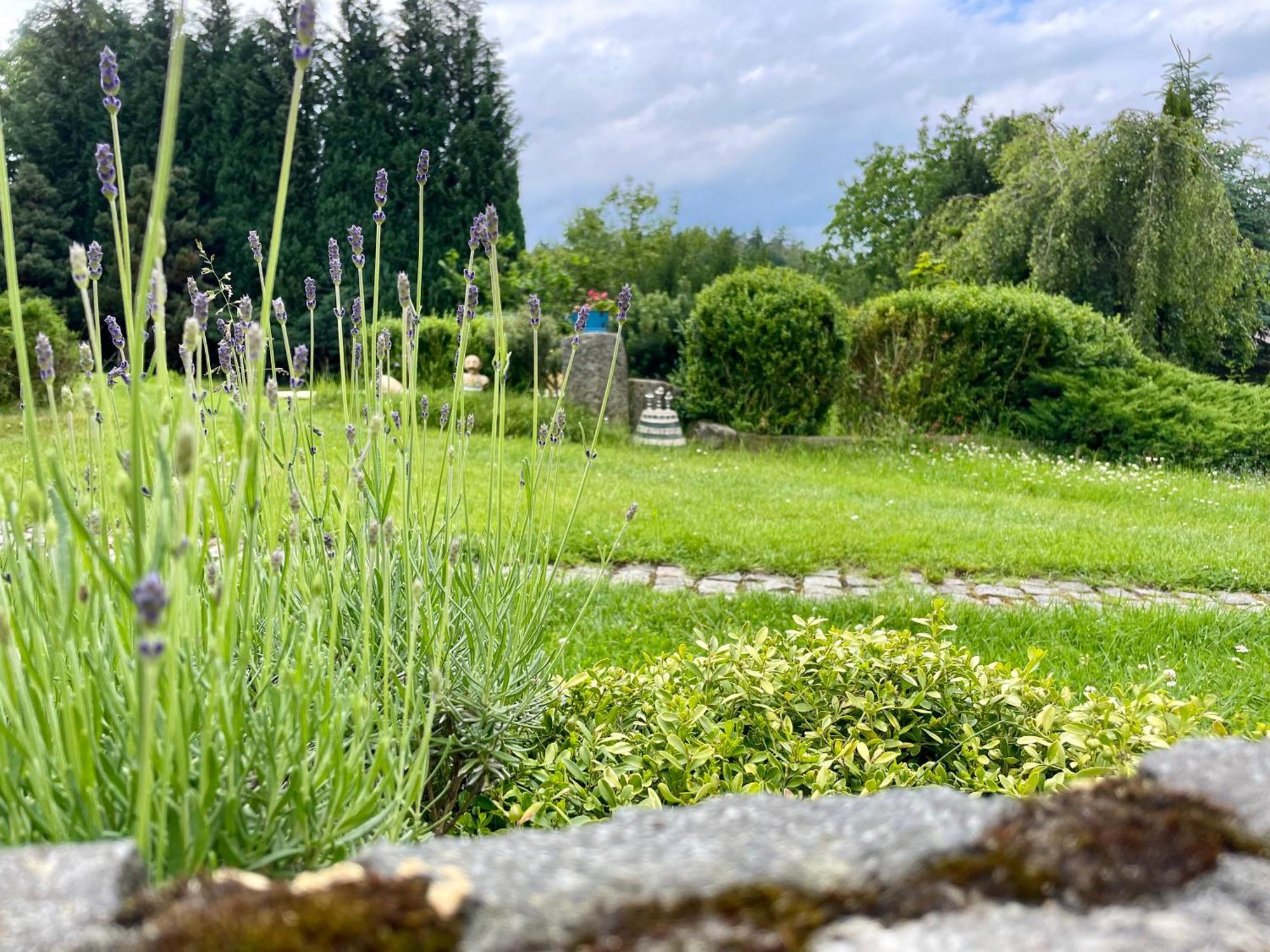 Apartmán U Mluvících Kamenů Stare Krecany Exterior foto